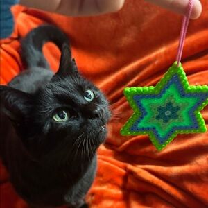 Vibrant handmade bead art Green Star Ornament